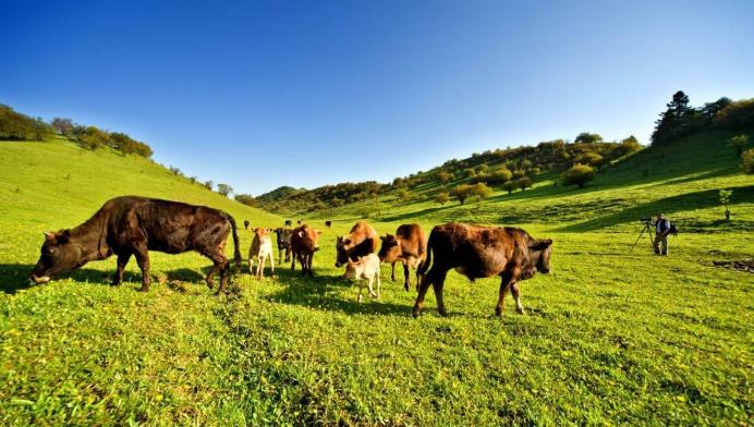 【熱點(diǎn)聚焦】從布病看空間消毒滅菌的重要性